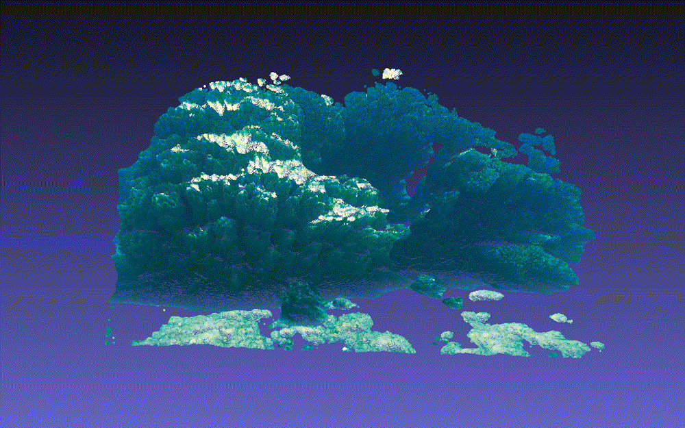 3D Reconstruction of Underwater Scenes